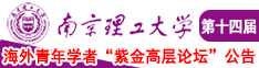 国产插比网南京理工大学第十四届海外青年学者紫金论坛诚邀海内外英才！